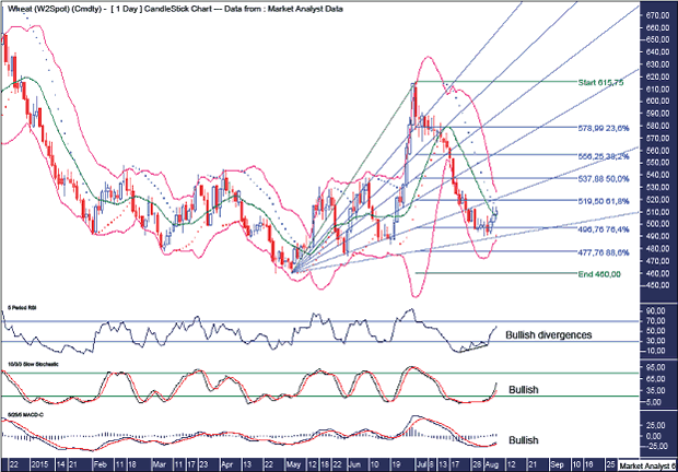 Wheat Daily Chart