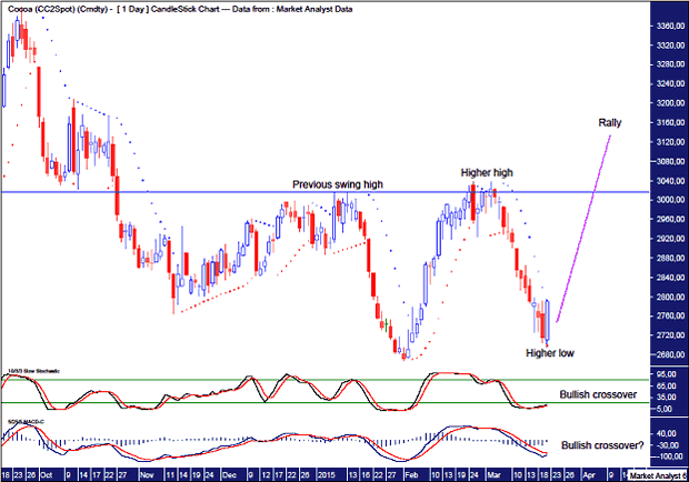 Cocoa Daily Chart