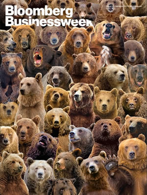 Bloomberg Bear Cover