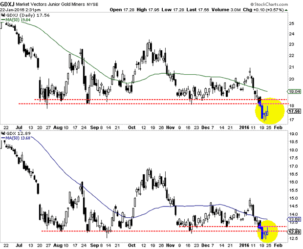 Market Vectors Gold Miners and Junior Gold Miners Daily Charts