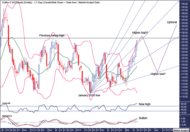 Coffee Daily Chart