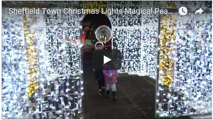Sheffield Town & Peace Gardens Christmas Lights Magic 2017