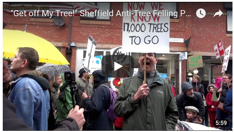 "Get off My Tree!" Sheffield Anti-Tree Felling Protest Ready to March!