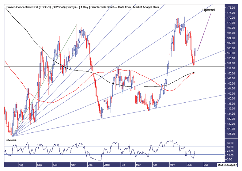 Orange Juice Futures Chart