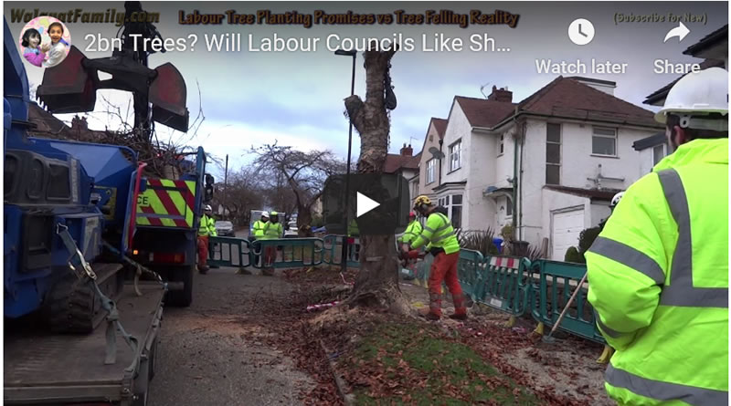 Will Labour Government Plant More Tree's than Council's Like Sheffield Fell?