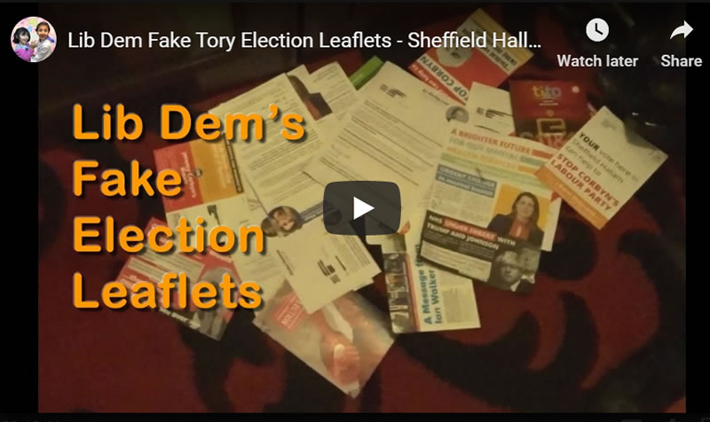 Lib Dem Fake Tory Election Leaflets - Sheffield Hallam General Election 2019