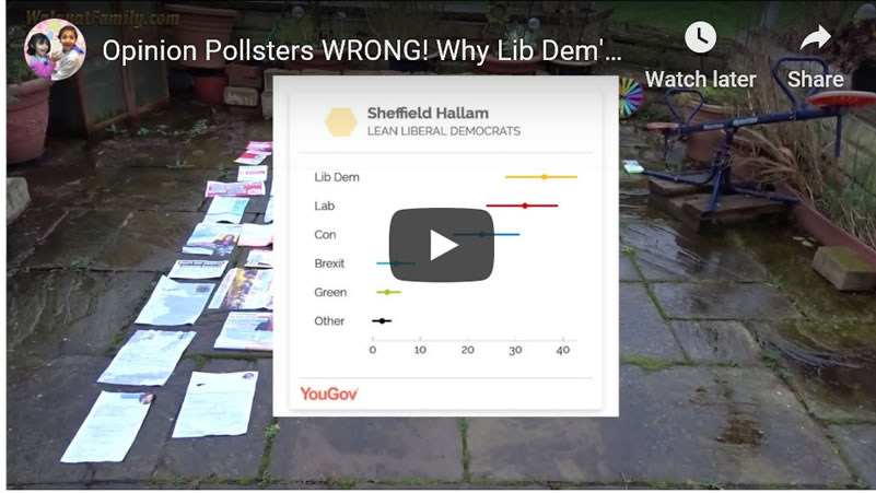 Why Jo Swinson and the Lib Dems LOST Seats General Election 2019 - Sheffiled Hallam Example