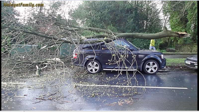 Range Rover vs Huge Tree Branch Falling on its Roof - Land Rover UK Storm Weather 