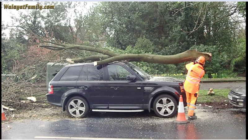 Range Rover vs Huge Tree Branch Falling on its Roof - Land Rover UK Storm Weather 