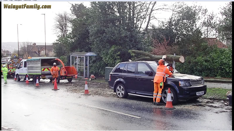 Range Rover vs Huge Tree Branch Falling on its Roof - Land Rover UK Storm Weather 