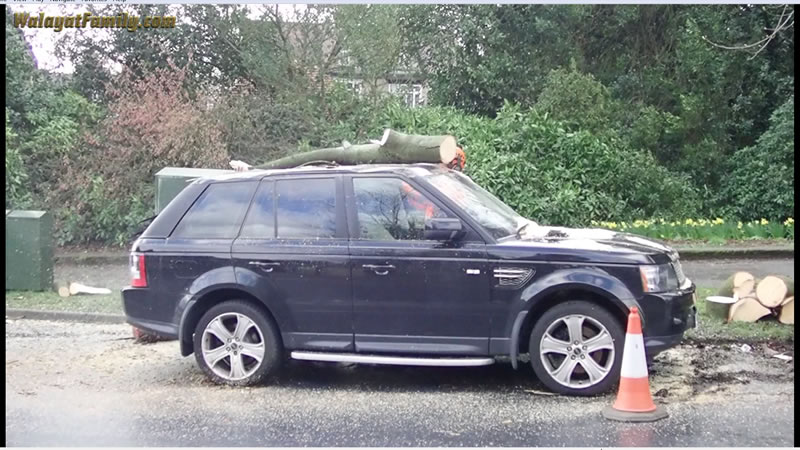 Range Rover vs Huge Tree Branch Falling on its Roof - Land Rover UK Storm Weather 