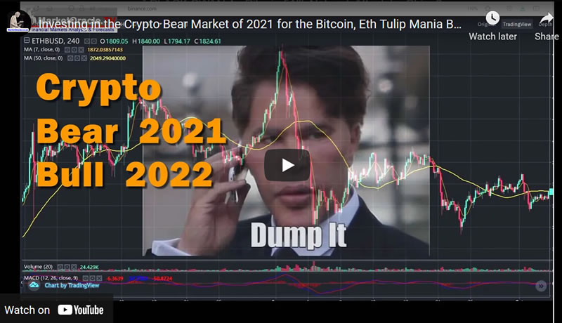 Investing in the Crypto Bear Market of 2021 for the Bitcoin, Eth Tulip Mania Bull Market of 2022