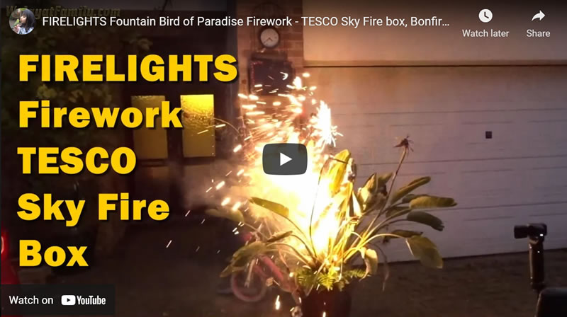 FIRELIGHTS Fountain Bird of Paradise Firework - TESCO Sky Fire box, Bonfire Night 2021