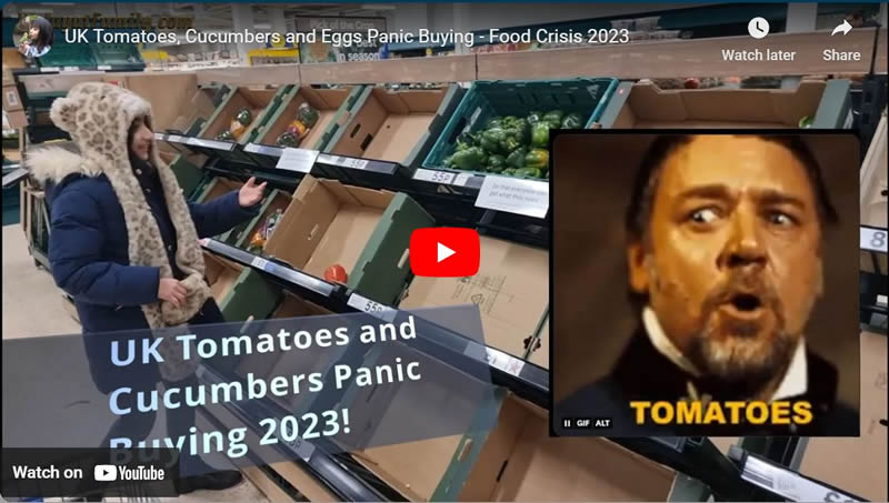 UK Tomatoes, Cucumbers and Eggs Panic Buying - Food Crisis 2023